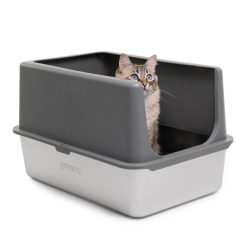 Alternative view of Caixa de areia aberta NOX em aço inoxidável