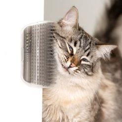 Coleiras Para Gatos Com Sino - Conjunto 3 Unidades Ajustáveis E Seguras