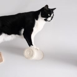 Alternative view of Poste de sisal PEAK para montagem na parede